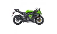 Preisgünstige 2013-2018 Kawasaki ZX6R Verkleidung