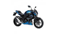 Preisgünstige 2015-2016 Kawasaki Z250/Z300 Verkleidung