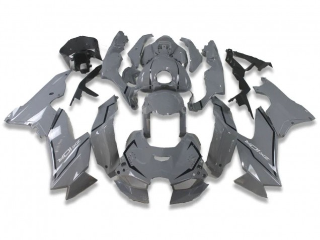 Preisgünstige Kawasaki ZX10R Motorrad Verkleidung 2021-2025 - Nardo Grau