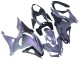 Preisgünstige Kawasaki Ninja 500 EX500R Motorrad Verkleidung 2024-2025 - Chameleon Grau Dazz Perl Lila
