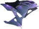 Preisgünstige Kawasaki Ninja 500 EX500R Motorrad Verkleidung 2024-2025 - Chameleon Grau Dazz Perl Lila