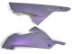 Preisgünstige Kawasaki EX300 Motorrad Verkleidung 2013-2024 - Chameleon Grau Dazz Perl Lila