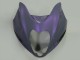 Preisgünstige Suzuki GSXR 1300 Hayabusa Motorrad Verkleidung 1996-2007 - Chameleon Grau Dazz Perl Lila