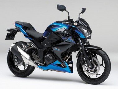 Preisgünstige Kawasaki Z250/Z300 Motorrad Verkleidung 2015-2016 - Blau Matt Schwarz