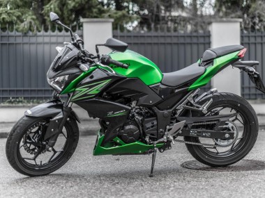 Preisgünstige Kawasaki Z250/Z300 Motorrad Verkleidung Kit 2015-2016 - Grun Matt Schwarz