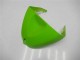 Preisgünstige Kawasaki ZX6R Motorrad Verkleidung 2005-2006 - Grun Glanzendes Schwarz Elf