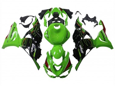 Preisgünstige Kawasaki ZX6R Motorrad Verkleidung 2023-2025 - Grun Schwarz