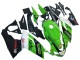 Preisgünstige Aprilia RS125 Motorrad Verkleidung 2006-2011 - Grun Weiss Schwarz