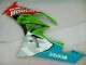 Preisgünstige Kawasaki ZX6R Motorrad Verkleidung 2009-2012 - Grun Weiss Rot Schwarz Blau Motocard