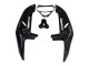 Preisgünstige Honda CBR900RR 919 Motorrad Verkleidung 1998-1999 - Glanzendes Schwarz Weiss Aufkleber