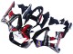 Preisgünstige Honda CBR900RR 929 Motorrad Verkleidung 2000-2001 - Rot Weiss Glanzendes Schwarz PlayStation 2