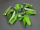 Preisgünstige Kawasaki EX250 Motorrad Verkleidung 2008-2012 - Grun Weiss Schwarz
