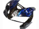 Preisgünstige Honda CBR600RR Motorrad Verkleidung 2005-2006 - Glanzendes Schwarz Blau Flamme