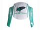 Preisgünstige Honda CBR600RR Motorrad Verkleidung 2005-2006 - Hellgrun Weiss Glanzendes Schwarz Joe Rocket