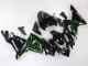 Preisgünstige Kawasaki ZX10R Motorrad Verkleidung 2004-2005 - Schwarz mit Gruner Flamme Ninja