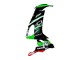 Preisgünstige Kawasaki ZX10R Motorrad Verkleidung 2008-2010 - Grun Weiss Rot Schwarz Monster Elf 66