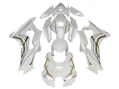 Preisgünstige Kawasaki ZX10R Motorrad Verkleidung 2021-2025 - Weiss Gold