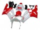 Preisgünstige Kawasaki ZX6R Motorrad Verkleidung 2003-2004 - Weiss Rot
