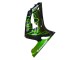 Preisgünstige Kawasaki ZX6R Motorrad Verkleidung 2003-2004 - Glanzendes Schwarz Grun Flamme