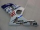 Preisgünstige Kawasaki ZX6R Motorrad Verkleidung 2003-2004 - Weiss Blau Rot Fiat