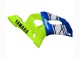 Preisgünstige Yamaha YZF 600 R6 Motorrad Verkleidung 1998-2002 - Neon Grun Blau Weiss Champions