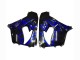 Preisgünstige Kawasaki ZX9R Motorrad Verkleidung 2000-2001 - Glanzendes Schwarz Blau Flamme Weiss