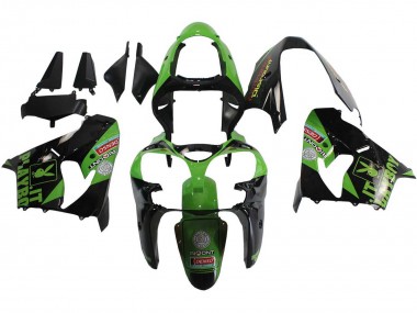 Preisgünstige Kawasaki ZX9R Motorrad Verkleidung 2000-2001 - Grun Schwarz Playboy Denso