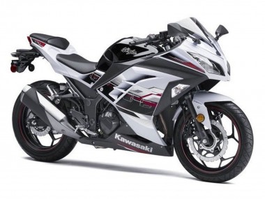 Preisgünstige Kawasaki EX300 Motorrad Verkleidung 2013-2024 - Weiss Schwarz Rot Accents