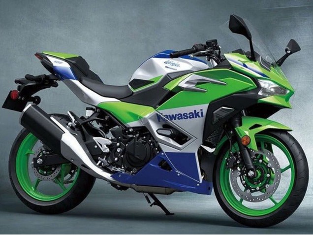 Preisgünstige Kawasaki Ninja 500 EX500R Motorrad Verkleidung 2024-2025 - Silber Grun Blau