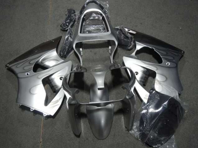 Preisgünstige Kawasaki ZX6R 00-02 Verkleidungen - Silber Flamme Preisgünstige Kawasaki ZX6R 00-02 Verkleidungen - Silber Flamme