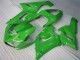 Preisgünstige Kawasaki ZX6R 05-06 Verkleidungen & Plastik - Grün Preisgünstige Kawasaki ZX6R 05-06 Verkleidungen & Plastik - Grün