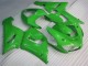 Preisgünstige Kawasaki ZX6R 05-06 Verkleidungen & Plastik - Grün Preisgünstige Kawasaki ZX6R 05-06 Verkleidungen & Plastik - Grün