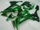 Preisgünstige Kawasaki ZX10R 08-10 Verkleidungen - Grüne Flamme Preisgünstige Kawasaki ZX10R 08-10 Verkleidungen - Grüne Flamme