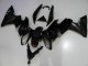 Preisgünstige Kawasaki EX650 09-11 Verkleidungen - Schwarz Preisgünstige Kawasaki EX650 09-11 Verkleidungen - Schwarz
