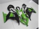 Preisgünstige Kawasaki EX300 13-16 Verkleidung - Grün Schwarz Preisgünstige Kawasaki EX300 13-16 Verkleidung - Grün Schwarz